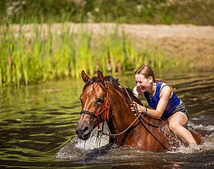 Paardrijden in de buurt van Vakantiehuisje in Neede, Achterhoek, genieten van waterpret in de natuur.