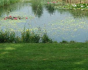 Unterkunft 294809 - Ferienhaus Achterhoek - Vakantiehuisje in Neede