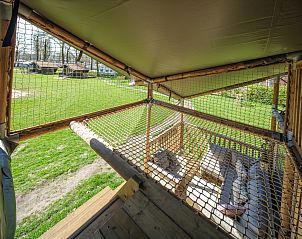 Guest house 294816 - Holiday property Achterhoek - Ranger Lodge