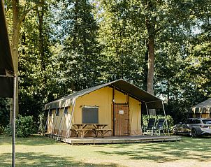 Verblijf 294817 - Tenthuis Achterhoek - Safaritent