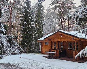 Unterkunft 294818 - Ferienhaus Achterhoek - Vakantiehuisje in Neede