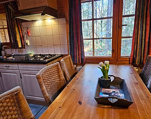 Unterkunft 294818 - Ferienhaus Achterhoek - Vakantiehuisje in Neede