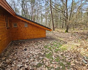 Unterkunft 294818 - Ferienhaus Achterhoek - Vakantiehuisje in Neede