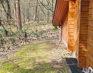 Unterkunft 294818 - Ferienhaus Achterhoek - Vakantiehuisje in Neede