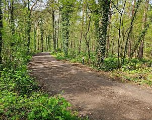 Unterkunft 294818 - Ferienhaus Achterhoek - Vakantiehuisje in Neede