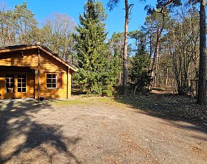 Zonovergoten omgeving van Huisje in Neede, Achterhoek, met veel privacy.