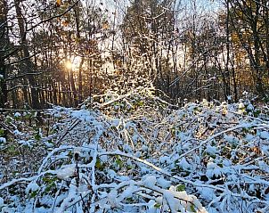 Winterse natuur rondom Huisje in Neede, Achterhoek, met besneeuwde bomen.