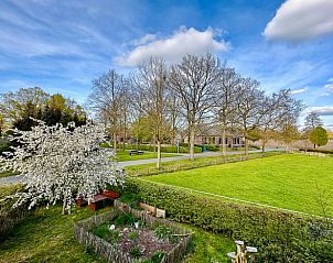Groene omgeving bij Huisje in Neede, vakantiehuis in de Achterhoek, Gelderland, ideaal voor ontspanning.