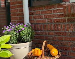 Gezellige hoek met bloemen en mand in Vakantiehuisje in Neede, Achterhoek
