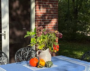 Buitenruimte Vakantiehuisje in Neede met kleurrijke bloemen op tafel