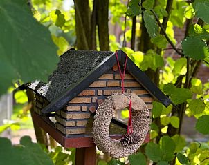 Vogelhuisje in de tuin van Vakantiehuisje in Neede, perfect voor natuurliefhebbers