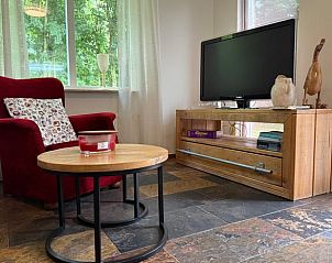 Moderne woonkamer met tv en decoratie in Vakantiehuisje in Neede