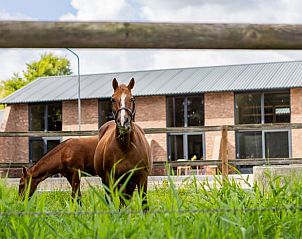 Unterkunft 294832 - Ferienhaus Achterhoek - Vakantiehuisje in Neede