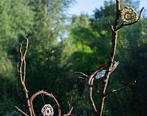 Verblijf 294833 - Vakantiewoning Achterhoek - Huisje in Neede