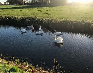 Verblijf 294833 - Vakantiewoning Achterhoek - Huisje in Neede