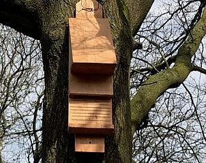 Verblijf 294833 - Vakantiewoning Achterhoek - Huisje in Neede