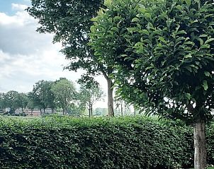 Cozy terrace of a vacation home in Varsselder, Achterhoek, with green plants and seating in the rustic setting of Gelderland.