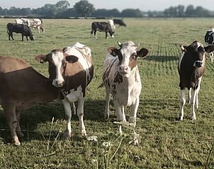 Green garden gate at Holiday home in Varsselder, Achterhoek, Gelderland, provides access to a peaceful, natural environment.