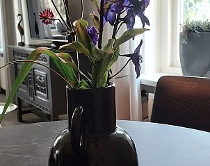 Guest house 295701 - Holiday property Achterhoek - Vakantiehuisje in Varsselder