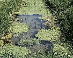 Guest house 295701 - Holiday property Achterhoek - Vakantiehuisje in Varsselder