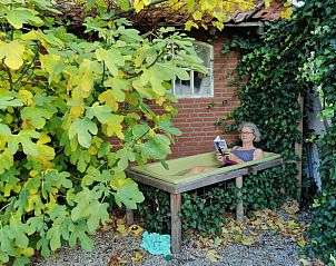 Guest house 295813 - Holiday property Achterhoek - Vakantiehuisje in Lievelde