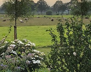 Guest house 295820 - Holiday property Achterhoek - Huisje in Lievelde