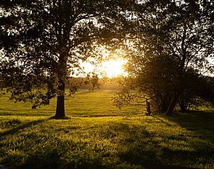 Verblijf 295822 - Vakantiewoning Achterhoek - Huisje in Lievelde