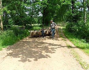 Guest house 296019 - Holiday property Achterhoek - mooistevakantiehuis.nl