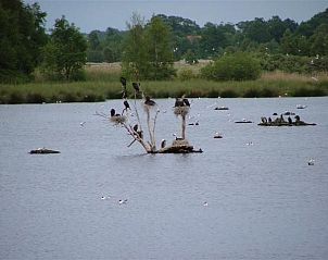 Guest house 296019 - Holiday property Achterhoek - mooistevakantiehuis.nl