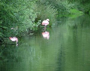 Guest house 296019 - Holiday property Achterhoek - mooistevakantiehuis.nl