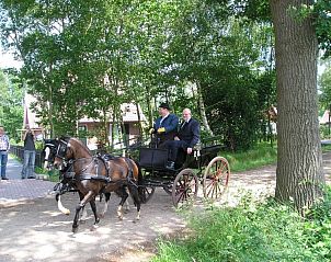 Guest house 296021 - Holiday property Achterhoek - WegInWinterswijk