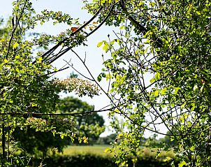 Groene doorkijk naar de natuur rondom Vakantiehuisje in Breedenbroek, Achterhoek, Gelderland.