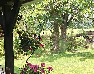 Uitzicht vanaf Huisje in Breedenbroek Achterhoek, vakantiehuis in Gelderland met groene tuin.