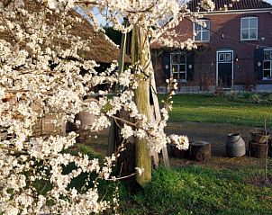 Bloesem bij Huisje in Breedenbroek Achterhoek, vakantiehuis in Gelderland in het voorjaar.