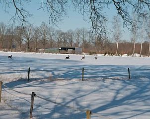Winterlandschap bij Huisje in Breedenbroek Achterhoek, vakantiehuis in Gelderland met herten.