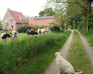 Unterkunft 296212 - Ferienhaus Achterhoek - Vakantiehuisje in Breedenbroek
