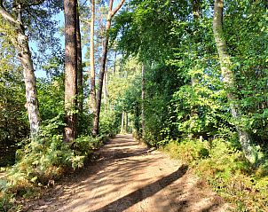 Tuin met fruitbomen bij DG1922 vakantiehuis in Winterswijk Miste, Achterhoek, Gelderland.