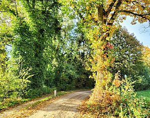 Bospaadje nabij DG1922 vakantiehuis in Winterswijk Miste, Achterhoek, Gelderland.