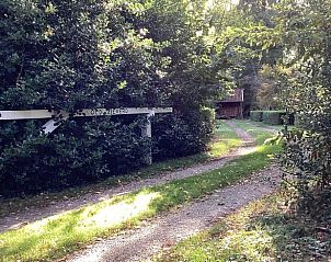 Unterkunft 296412 - Ferienhaus Achterhoek - Huisje in Winterswijk Brinkheurne
