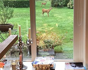 Unterkunft 296412 - Ferienhaus Achterhoek - Huisje in Winterswijk Brinkheurne