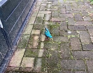 Unterkunft 296412 - Ferienhaus Achterhoek - Huisje in Winterswijk Brinkheurne