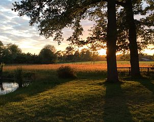 Unterkunft 296412 - Ferienhaus Achterhoek - Huisje in Winterswijk Brinkheurne