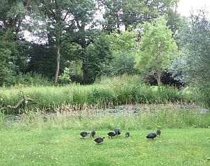 Unterkunft 296412 - Ferienhaus Achterhoek - Huisje in Winterswijk Brinkheurne