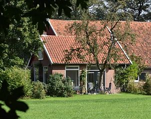 Guest house 296806 • Holiday property Achterhoek • Vakantiehuis in Winterswijk Kotten 