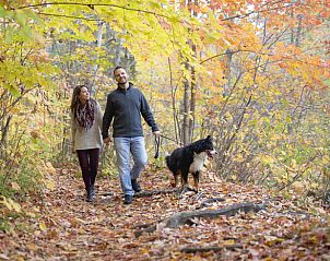 Wandelpad in herfstlandschap nabij Vakantiehuis in Almen, Achterhoek