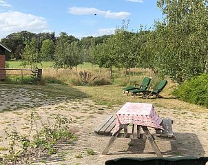 Huisje in Almen, vakantiewoning in de Achterhoek, Gelderland. Zonnig terras met picknicktafel en uitzicht op weelderige natuur.