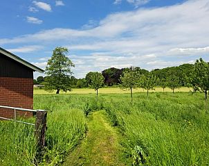 Huisje in Almen, vakantieaccommodatie in de Achterhoek, Gelderland. Tuinpad met weelderige groene natuur en bomen.