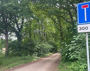 Bosrijke omgeving rond Vakantiehuis in Almen, ideaal voor wandelingen in Achterhoek, Gelderland.