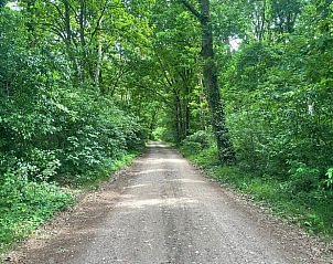 Rustige natuur rondom Vakantiehuis in Almen, perfect voor ontspanning in Achterhoek, Gelderland.