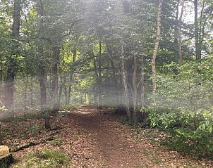 Landelijke weg naar Vakantiehuis in Almen, omgeven door bomen in Achterhoek, Gelderland.